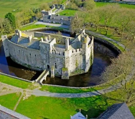 Front De Les Cordylines *