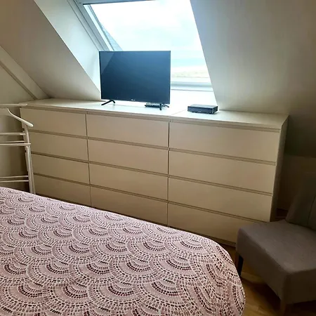 Front De Les Cordylines *