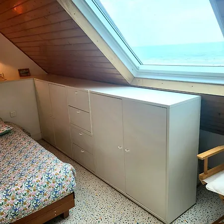 Front De Les Cordylines