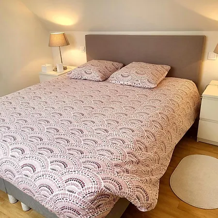 Vila Front De Les Cordylines *