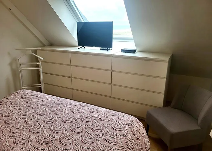 Front De Les Cordylines *