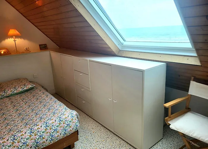 Front De Les Cordylines